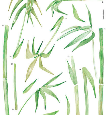Bambus L