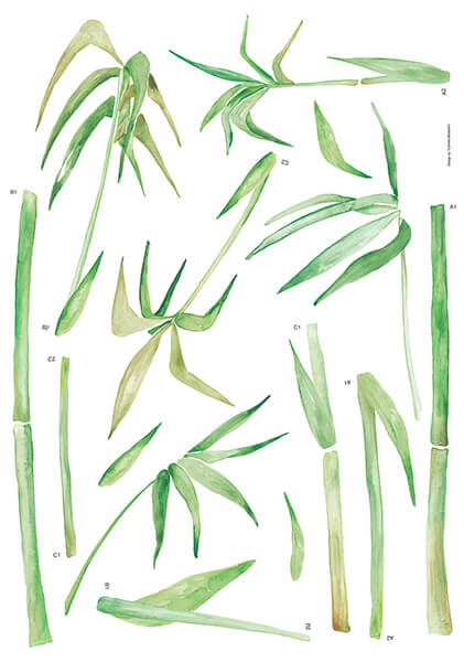 44233_klebewand-bambus_2