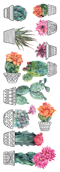 58116_adesivo-murale-cactus-vases_2