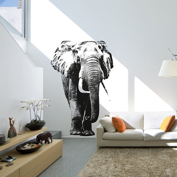 81141_adesivo-murale-elephant